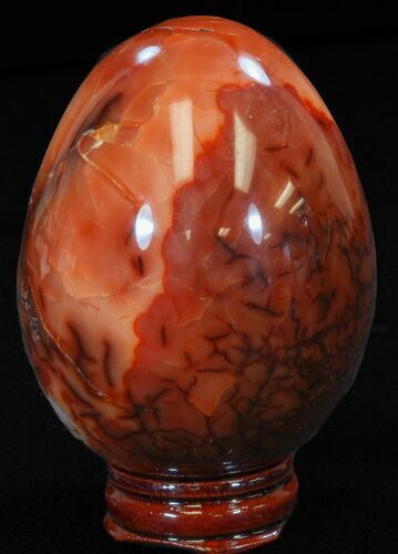 Colorful Carnelian Agate Egg #41199